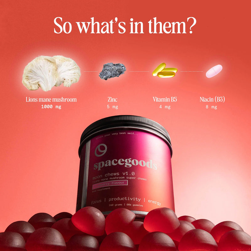 focus + energy premium double starter kit - chocolate/strawberry Spacegoods